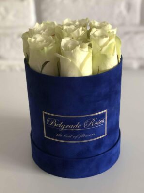 Plišana Kutija FI12 (7 Ruža)