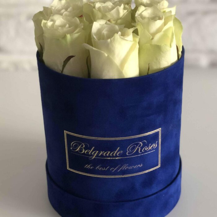 plisana-kutija-fi12-7-ruza-br13 plisana-kutija-fi12-7-ruza-br13