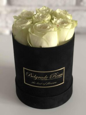 Plišana Kutija FI12 (7 Ruža)