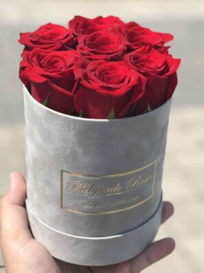 Plišana Kutija FI12 (7 Ruža)