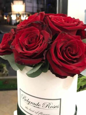 Plišana Kutija FI12 (9-13 Ruža)