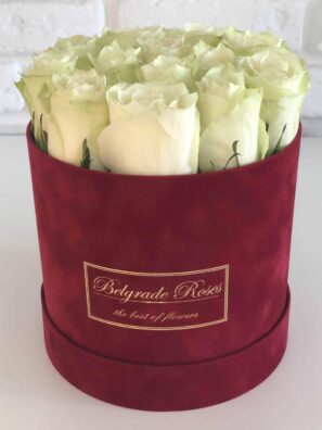 Plišana Kutija FI16 (11-15 Ruža)