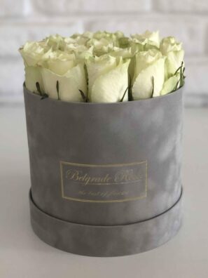 Plišana Kutija FI16 (11-15 Ruža)