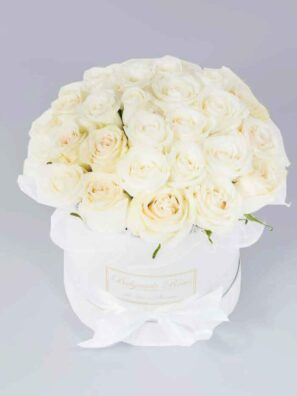 Kutija FI20 (27-39 Ruža)