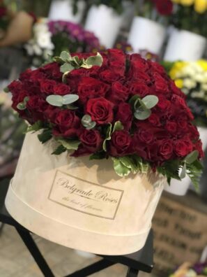 Plišana Kutija FI40 (101 Ruža)