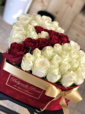 Plišano Srce (39-49 Ruža)