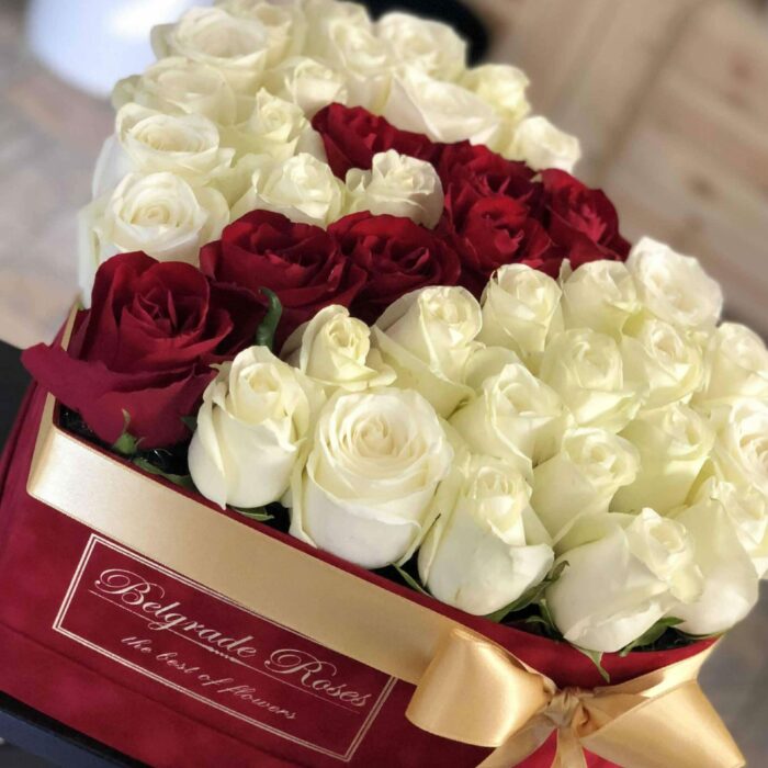 plisano-srce-39-49-ruza